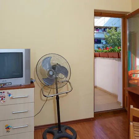 Guest & Homestay Edelweiss * נסבר