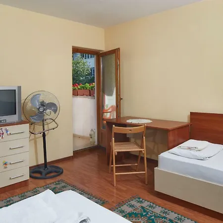 Guest & Homestay Edelweiss נסבר