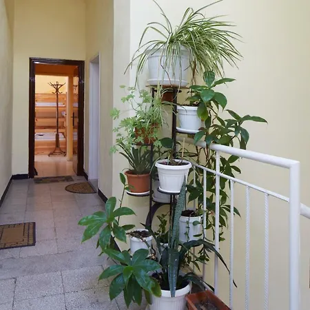 Guest & Homestay Edelweiss נסבר